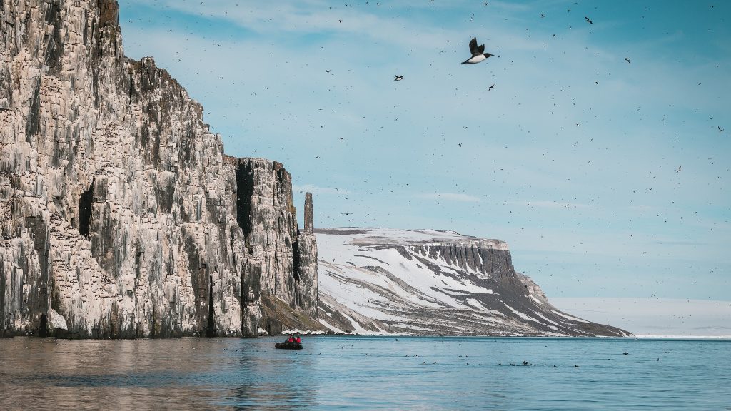 A zodiac on the water next to bird cliff. 