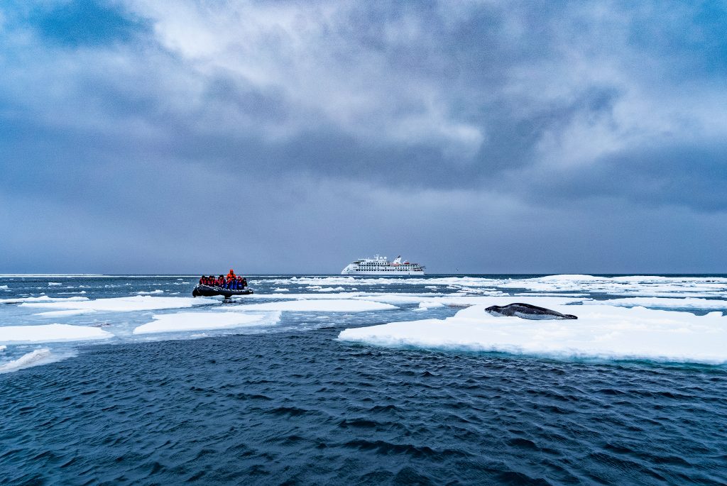 Ice floes with a zodiac, seal and ship.