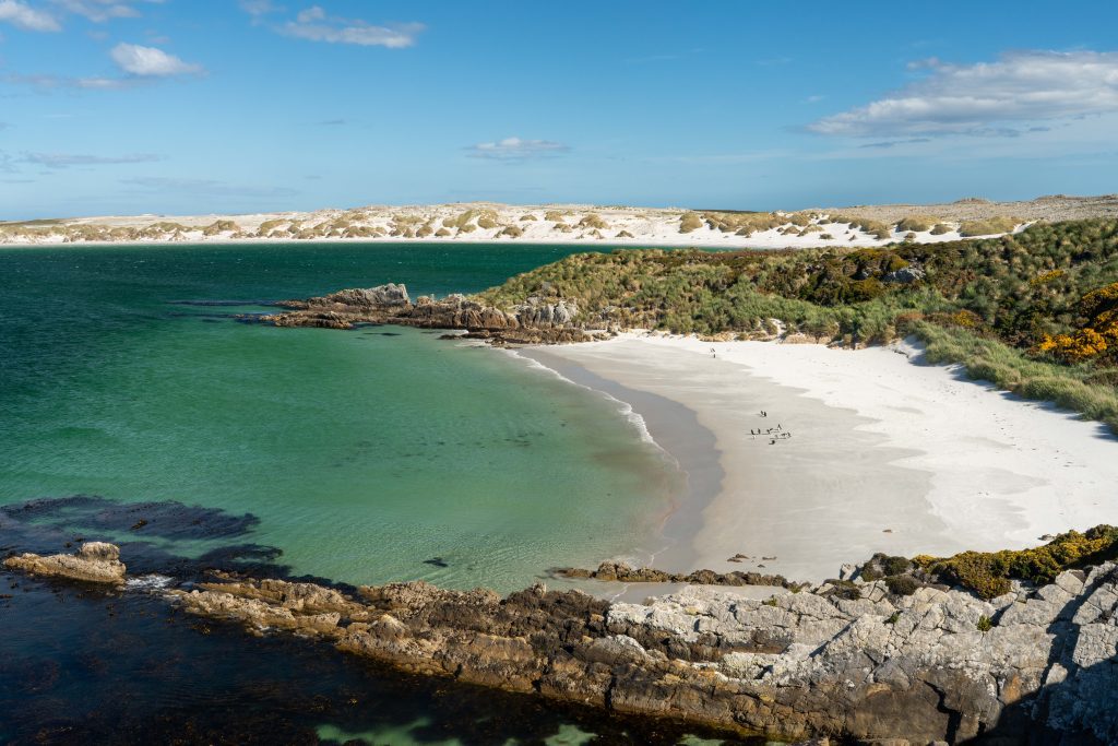 White sand beach in the Falkland Islands.