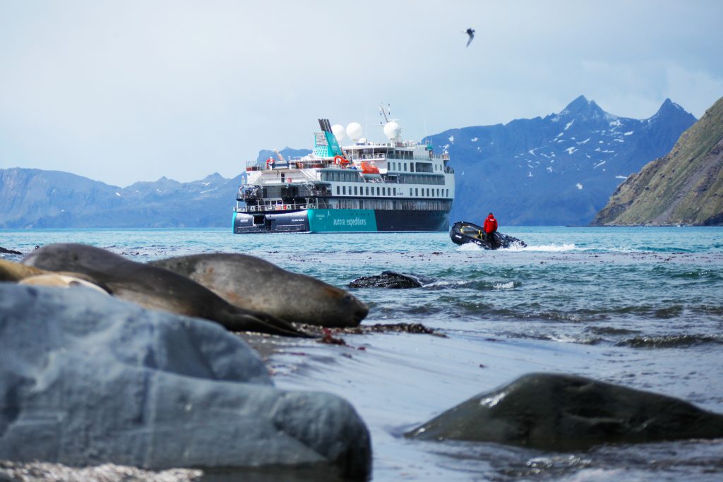 The ship Sylvia Earle with a zodiac nearby in the water. 
