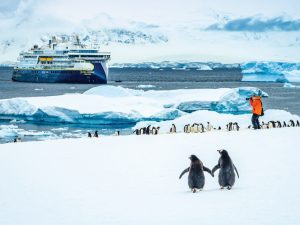 Penguins and passengers on shore with ship in background.