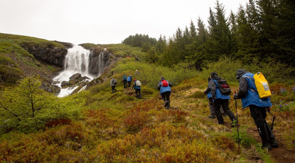 Guests hiking to a waterfall.