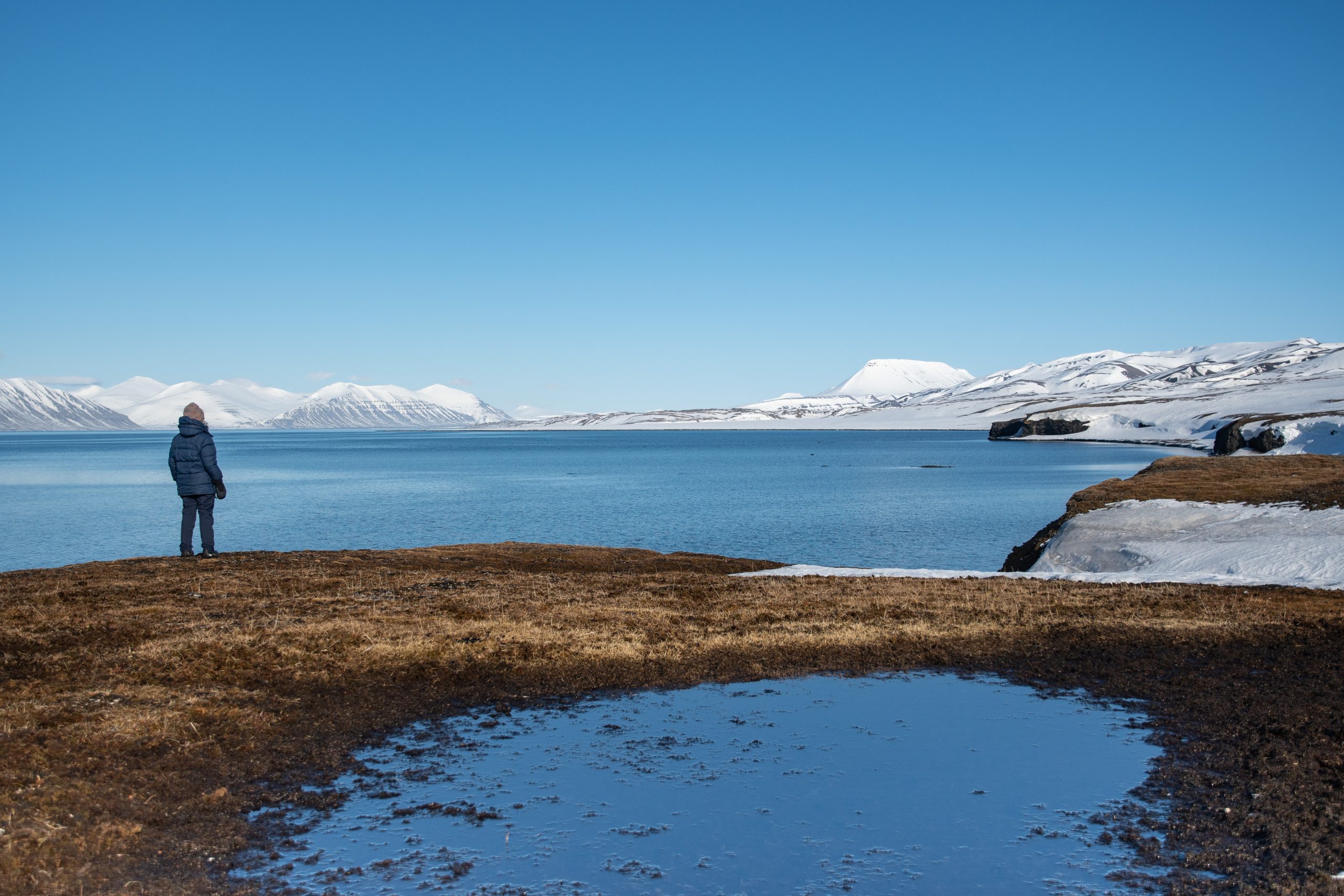 Person standing on shore looking at sea in Svalbard.